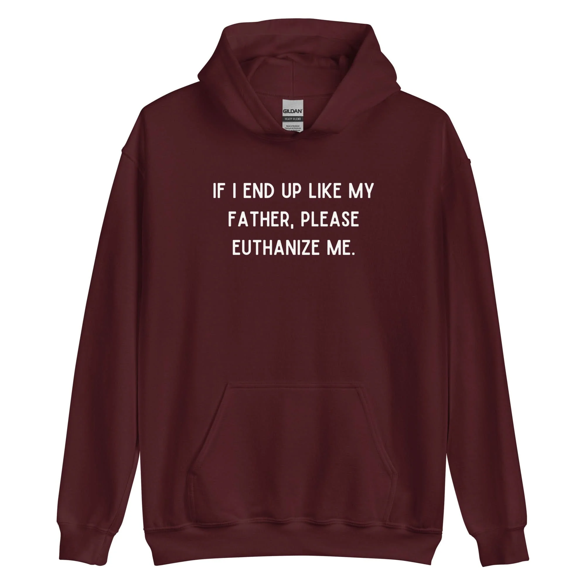 Euthanize Me Dad Hoodie - Image 3